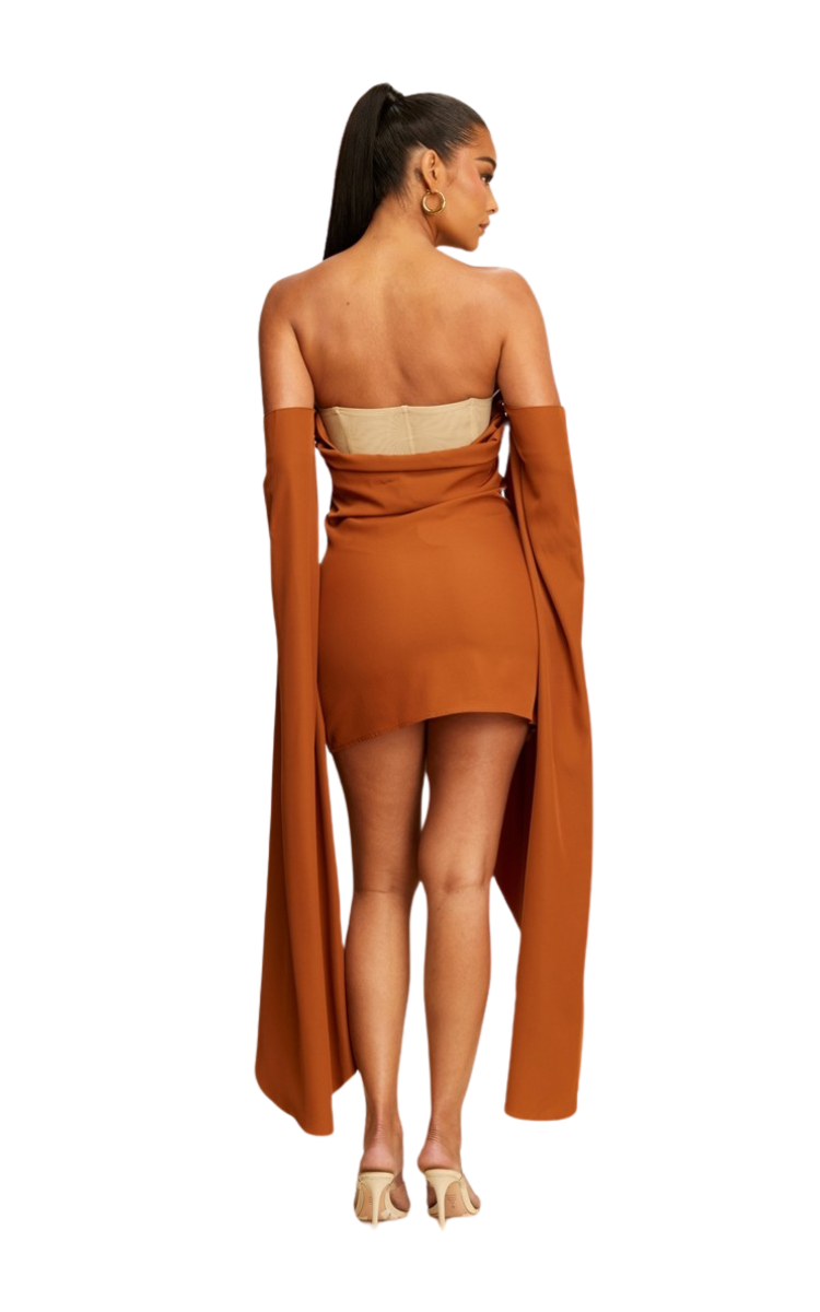 Drape Sleeve Mini Dress