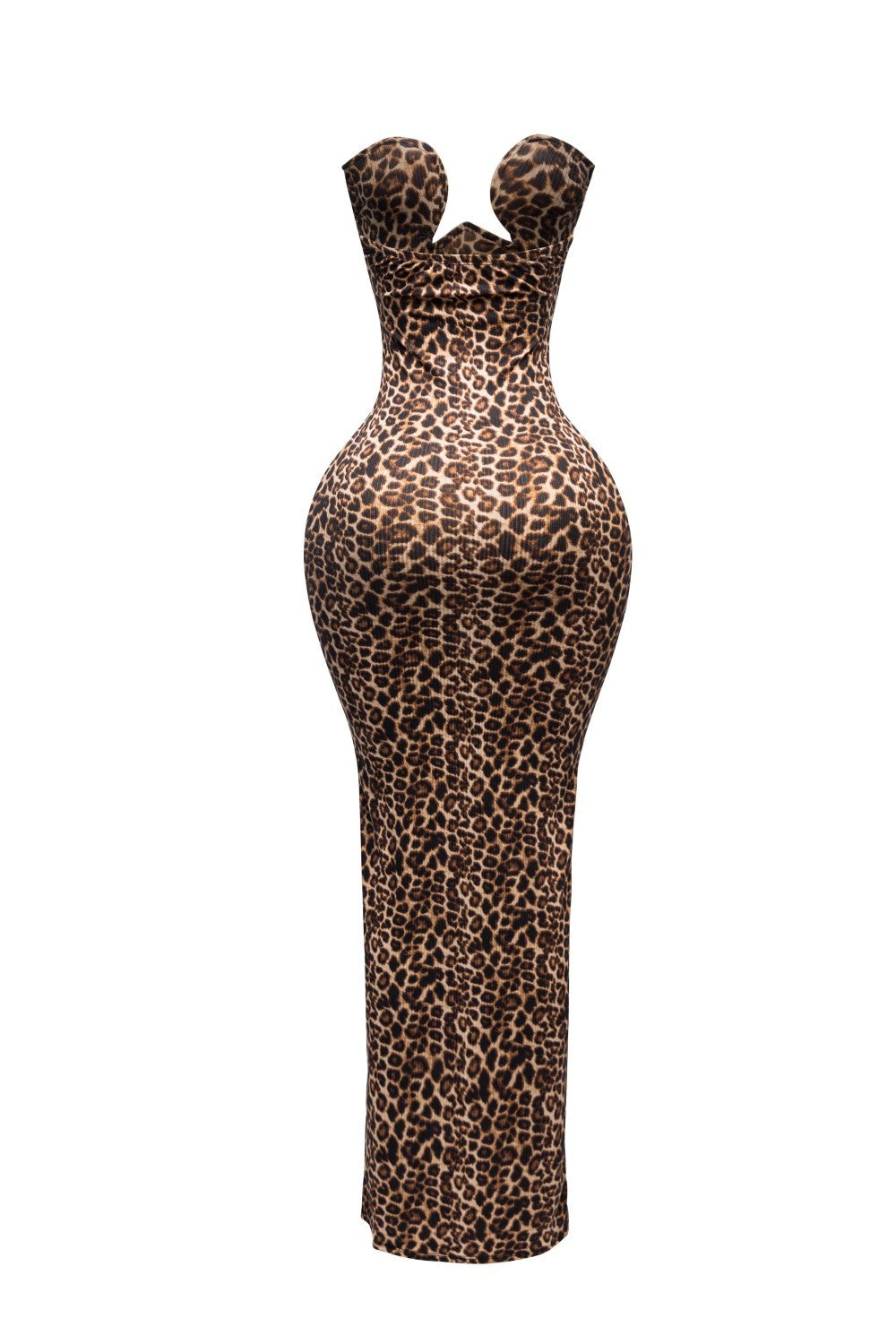 Leopard Print Maxi Dress